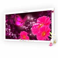 Lesen Picmondoo GmbH Bewertungen